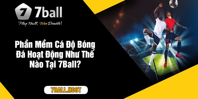 Phần Mềm Cá Độ Bóng Đá Hoạt Động Như Thế Nào Tại 7Ball