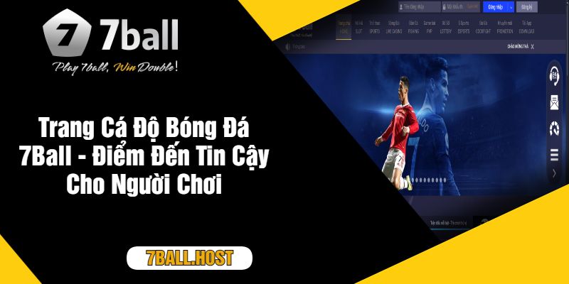 Trang Cá Độ Bóng Đá 7Ball - Điểm Đến Tin Cậy Cho Người Chơi